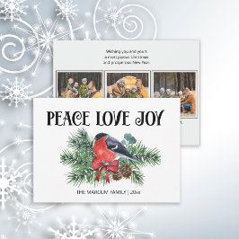 Cartão De Festividades Peace Love Joy Natal Holiday Robin Pine Branch