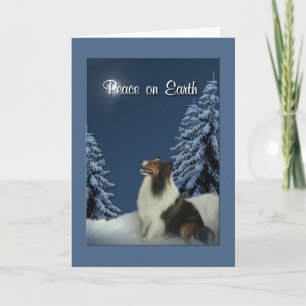Cartão De Festividades Peace Sheltie