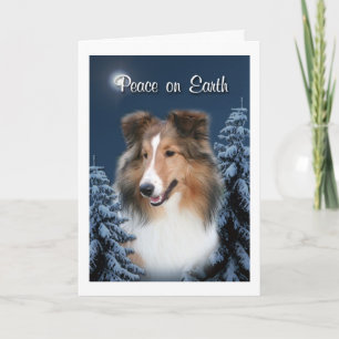 Cartão De Festividades Peace Sheltie Card