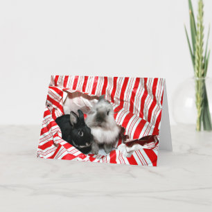 Cartão De Festividades Peekaboo Christmas bunnies