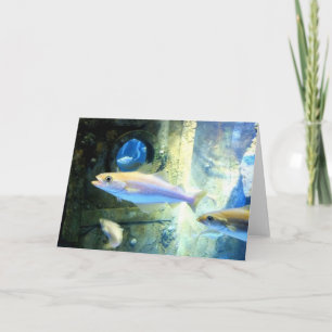 Cartão De Festividades Peixe e proto