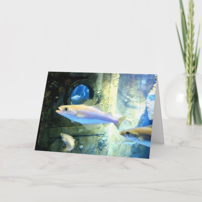 Cartão De Festividades Peixe e proto (Frente)