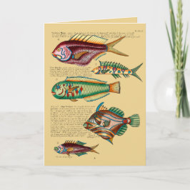 Cartão De Festividades Peixe Vermelho e Amigos