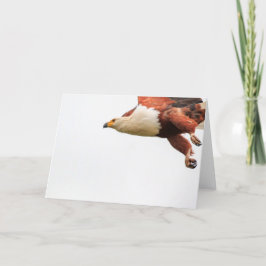 Cartão De Festividades Peixes Eagle africanos em vôo