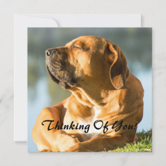 Cartão De Festividades Pensando em você