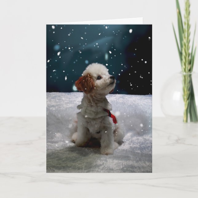 Cartão De Festividades Pensando em você, esta carta de festas dobrada (Frente)