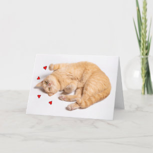 Cartão De Festividades Pensando em você Romance Laranja Fofo Gato