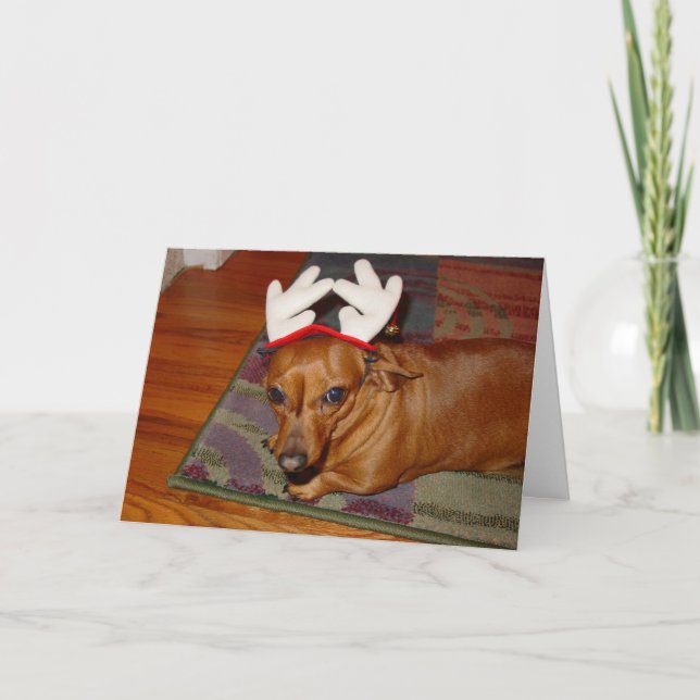 Cartão De Festividades Pequena Reindeer (Frente)