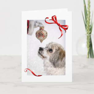 Cartão De Festividades Pequeno e Papais noeis