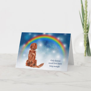 Cartão De Festividades Perda de Luz Noturna de Cachorro Setter Irlandês S