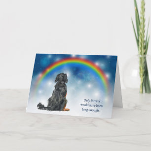 Cartão De Festividades Perda de Luzes Noturnas de Cachorro Setter Gordon