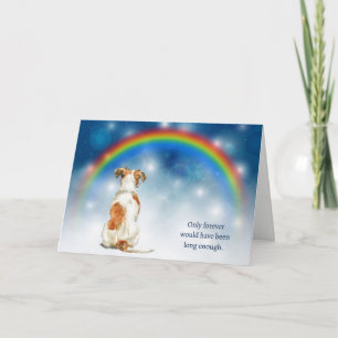 Cartão De Festividades Perda de Luzes Noturnas de Jack Russell Terrier Si