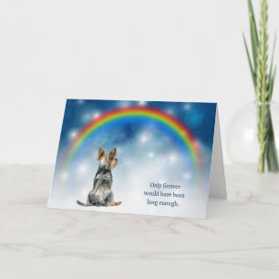 Cartão De Festividades Perda de Luzes Noturnas de Yorkshire Terrier