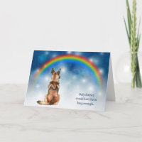 Perda de Luzes Noturnas do Cão Malinois Belga Simp