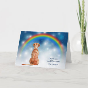Cartão De Festividades Perda de Luzes Noturnas do Cão Vizsla Simpatia