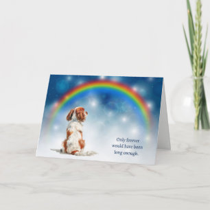 Cartão De Festividades Perda de Luzes Noturnas do Cavalier King Charles S