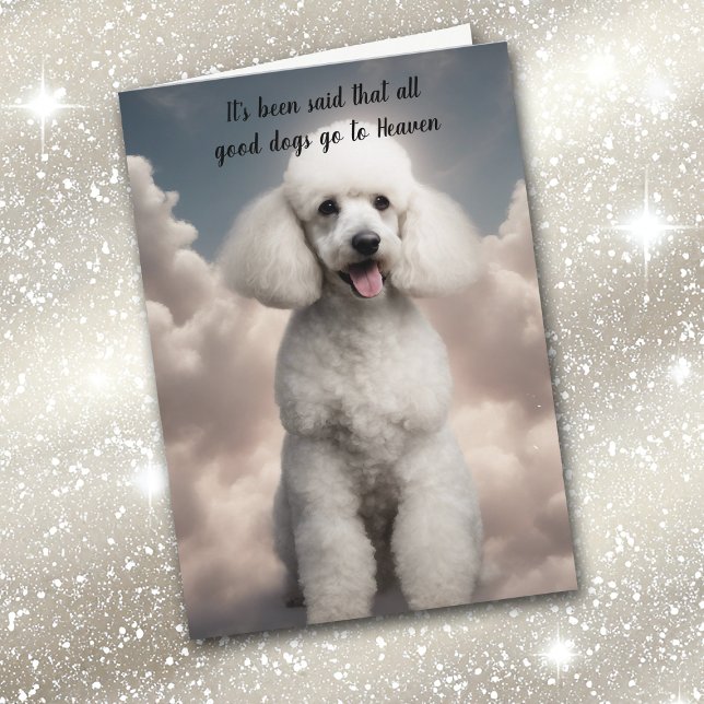 Cartão De Festividades Perda de Poodle Cachorro Branco Simpatia Celestial (Criador carregado)
