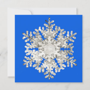 Cartão De Festividades Perfeição da Natureza Floco de Neve Azul Brilhante