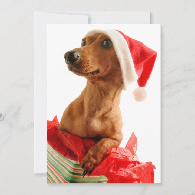 Cartão De Festividades Persiga no presente com chapéu do papai noel (Frente)