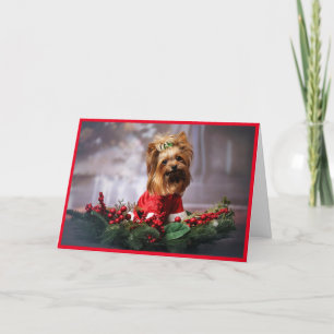 Cartão De Festividades Personalizar Foto Pet Carregar Nomes De Adicionar