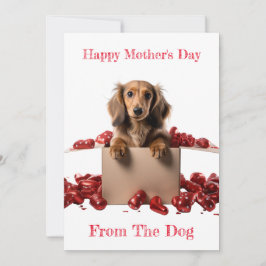 Cartão De Festividades Personalize Cachorrinho Dachshund de Cabelo Compri