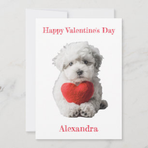 Cartão De Festividades Personalize o Namorados Bichon Frise Puppy