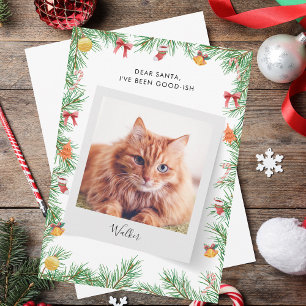 Cartão De Festividades Pet Cat Engraçado Personalizado Caros Papais noeis