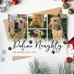 Cartão De Festividades Pet Define Natal De Foto Múltipla Inocente<br><div class="desc">Aproveite este ano para criar um cartão de Natal engraçado para a família. Apresentando um fundo branco minimalista, o humorístico ditado 'define malícia', impressões de pata, um modelo de 4 fotos que permite substituir as fotos do labrador por suas próprias memórias especiais, seu nome de família e ano. Há também...</div>