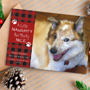 Cartão De Festividades Pet Dog Naughn e Belo Xadrez Vermelho Negra