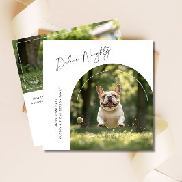 Cartão De Festividades Pet Engraçado Define Foto do Arco de Natal de Cão