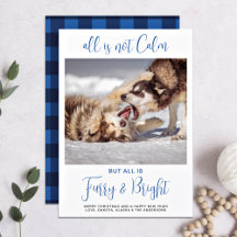 Pet Engraçado Tudo Não É Foto Personalizada De Cão