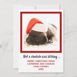 Cartão De Festividades Pet Fotográfico de Cachorro Puppy