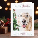 Cartão De Festividades Pet Photo Dog Personalizado Vovó Feliz Natal<br><div class="desc">Feliz Natal, a melhor vovó de cachorro de todos! Dê à vovó um cartão com fotos de estimação personalizado fofo e engraçado de seu melhor neto, o cachorro! "Você É A Vovó Que Cada Cão Deseja Que Tivesse. . . Feliz vovó de Natal, Ame o Cachorro" Personalize a dentro com...</div>