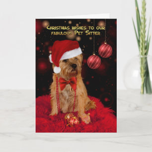 Cartão De Festividades Pet Sitter Border Terrier Dog In A Santa Hat