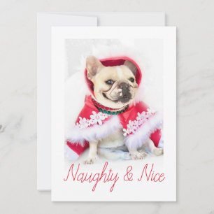 Cartão De Festividades Pet Star Foto de Cachorro Pet Personalizada Malv