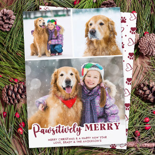 Cartão De Festividades Pet Year in Review Red Cute Dog Pet Photo