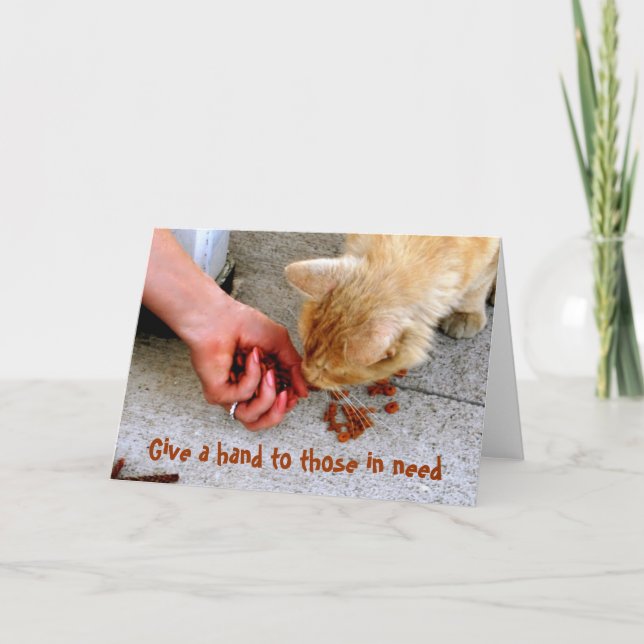 Cartão De Festividades Pets de abrigo para o Hawaii de gatos vadios (Frente)