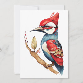 Cartão De Festividades Pica-pau vermelho e azul