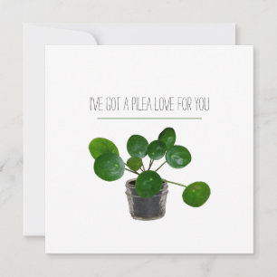 Cartão De Festividades Pilea Sweet Plant Pun Valentine