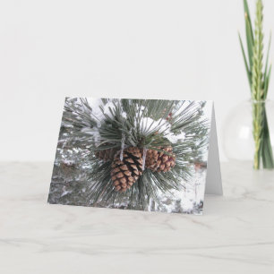 Cartão De Festividades Pine cones in snow - Holiday
