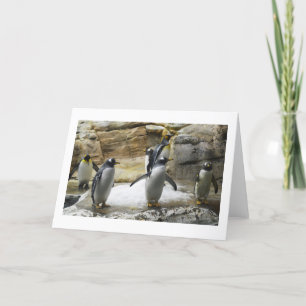Cartão De Festividades Pinguins