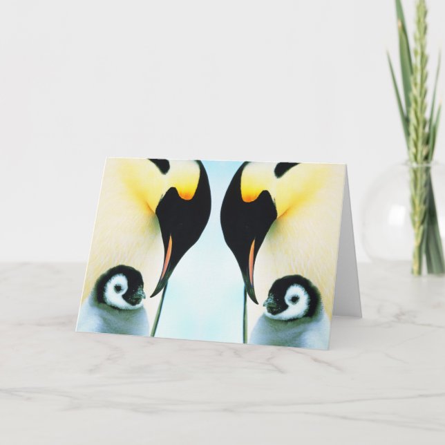CARTÃO DE FESTIVIDADES PINGUINS (Frente)