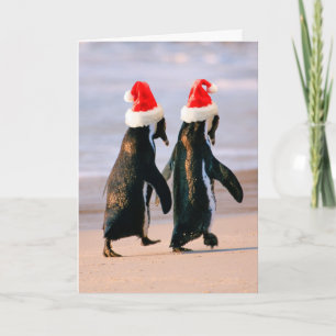 Cartão De Festividades Pinguins em Santa Hats na praia