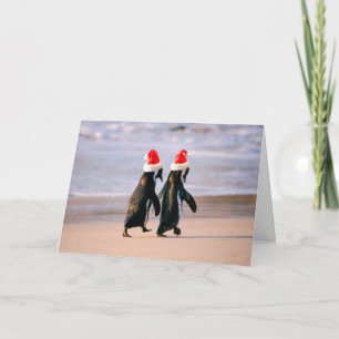 Cartão De Festividades Pinguins em Santa Hats na praia