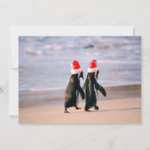 Cartão De Festividades Pinguins em Santa Hats na praia