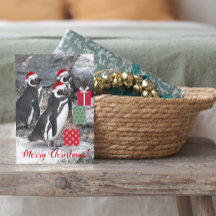 Pinguins Vestindo Santa Hats Engraçado