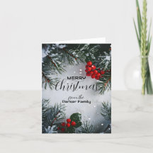 Pinheiro coberto de neve, frutos de azevim, não fo