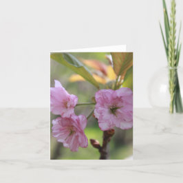 Cartão De Festividades Pink Apple Bloom em Primavera Foto para Mãe
