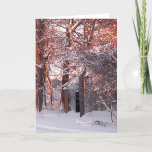 Cartão De Festividades Pink Sunrise on the Snow Winter Photo