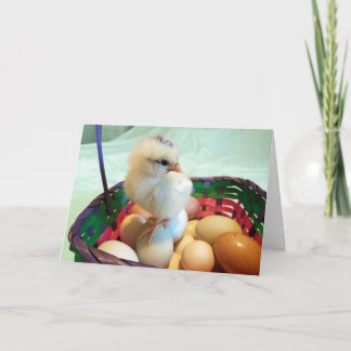 Cartão De Festividades Pintinho da páscoa em uma cesta do ovo